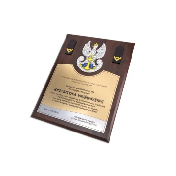 Acknowledgement Diploma for Standard-Bearer - Colorful UV Print and Embossed Logo - DUV063