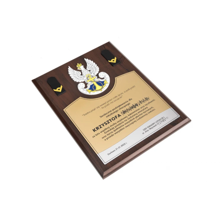 Acknowledgement Diploma for Standard-Bearer - Colorful UV Print and Embossed Logo - DUV063