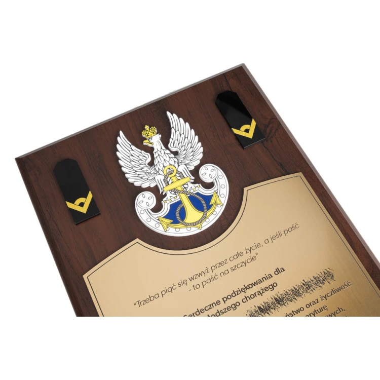 Acknowledgement Diploma for Standard-Bearer - Colorful UV Print and Embossed Logo - DUV063