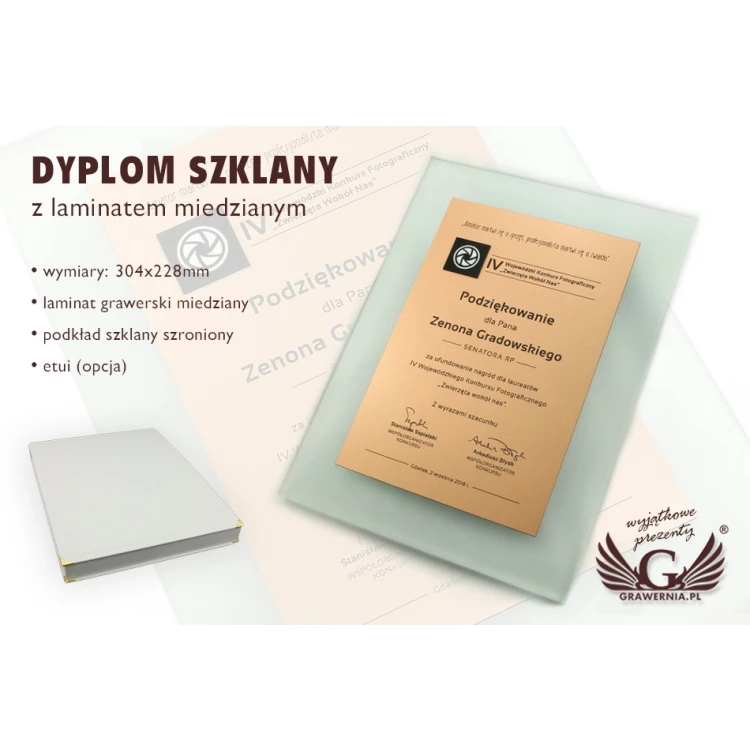 Certificate of Recognition - DSZ049