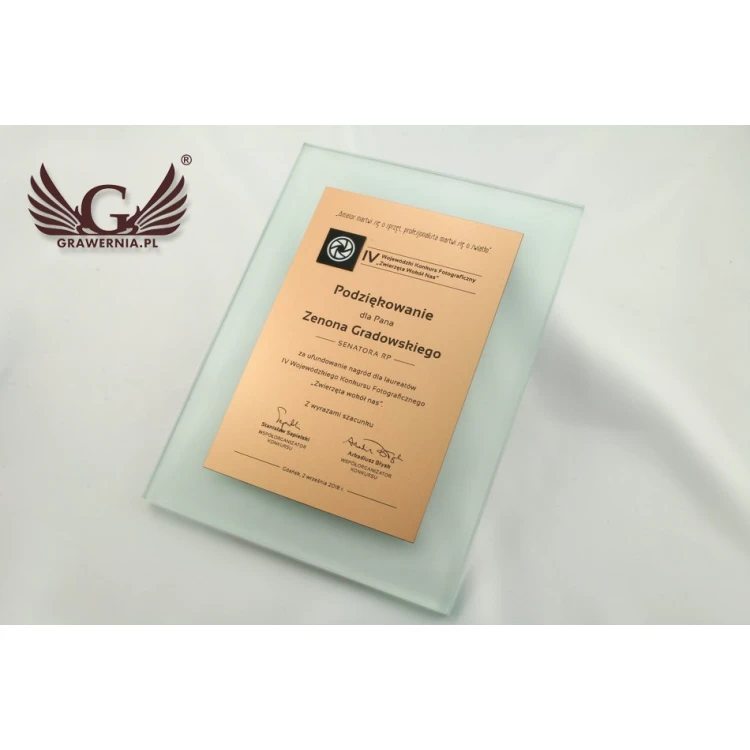 Certificate of Recognition - DSZ049