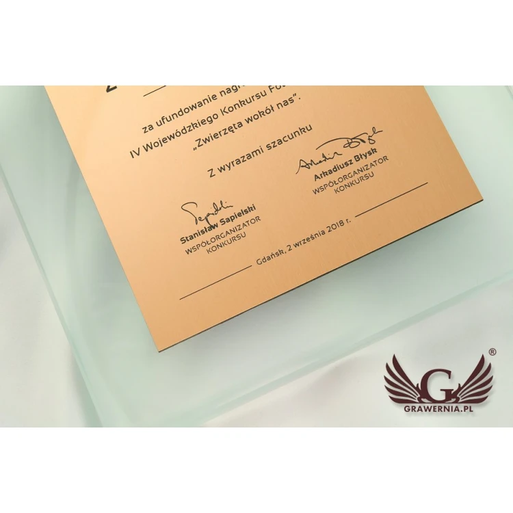 Certificate of Recognition - DSZ049
