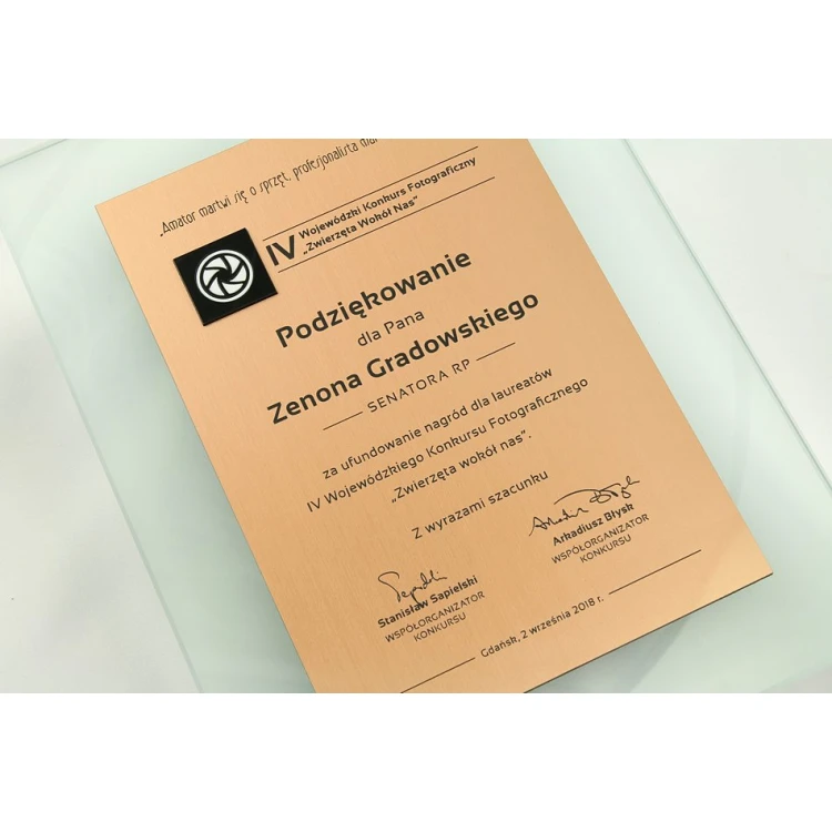 Certificate of Recognition - DSZ049
