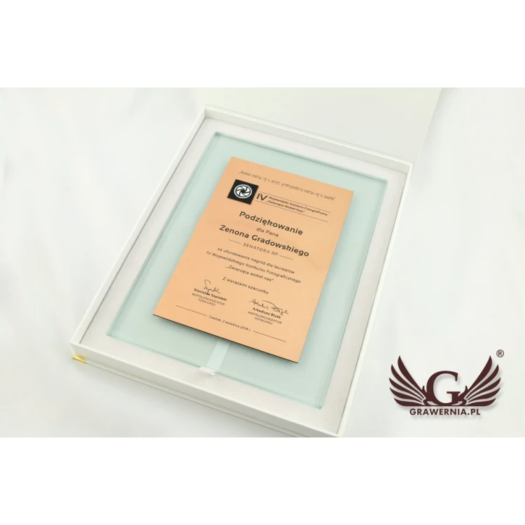 Certificate of Recognition - DSZ049