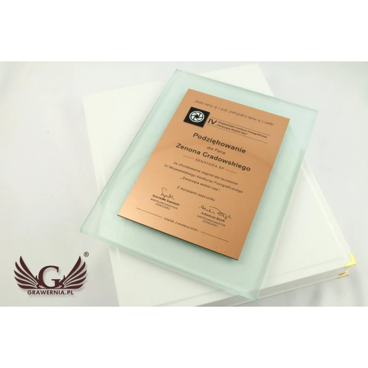 Certificate of Recognition - DSZ049