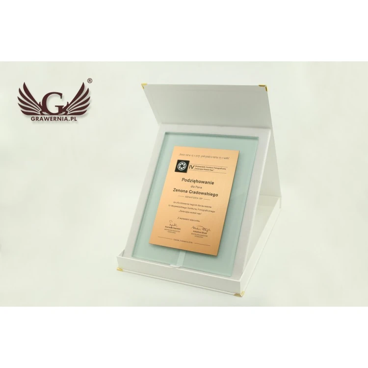 Certificate of Recognition - DSZ049