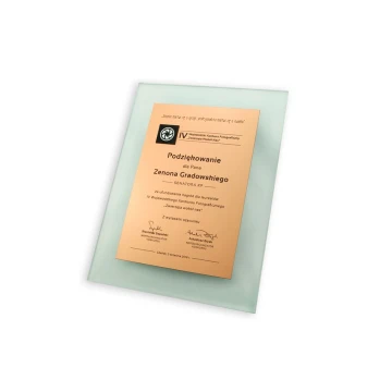 Certificate of Recognition - DSZ049