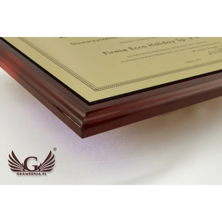 Exclusive Recognition Diploma with Colorful Logo - Horizontal - DCE004