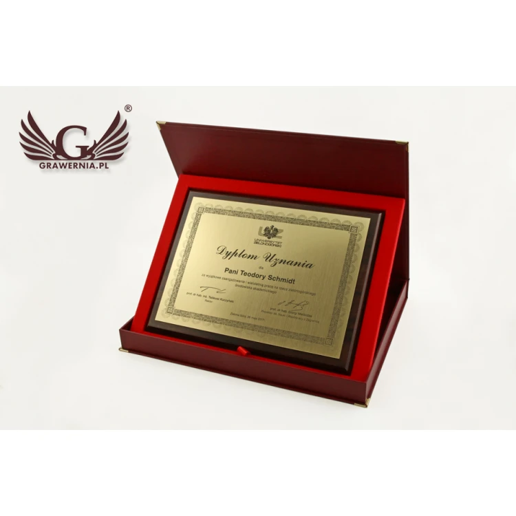 LASER ENGRAVED RECOGNITION DIPLOMA - horizontal - DS031