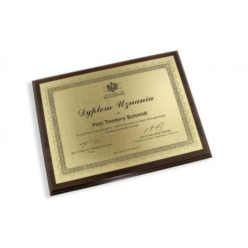 LASER ENGRAVED RECOGNITION DIPLOMA - horizontal - DS031