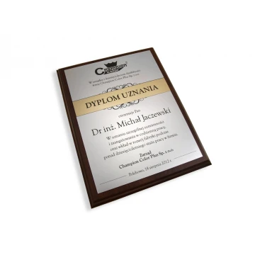 RECOGNITION DIPLOMA silver-gold - DS032