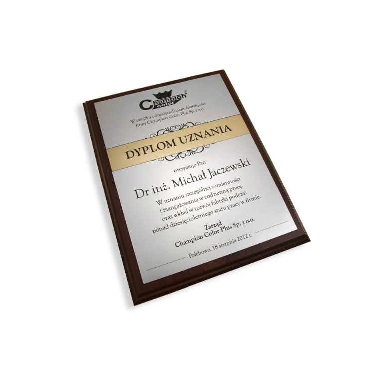 RECOGNITION DIPLOMA silver-gold - DS032
