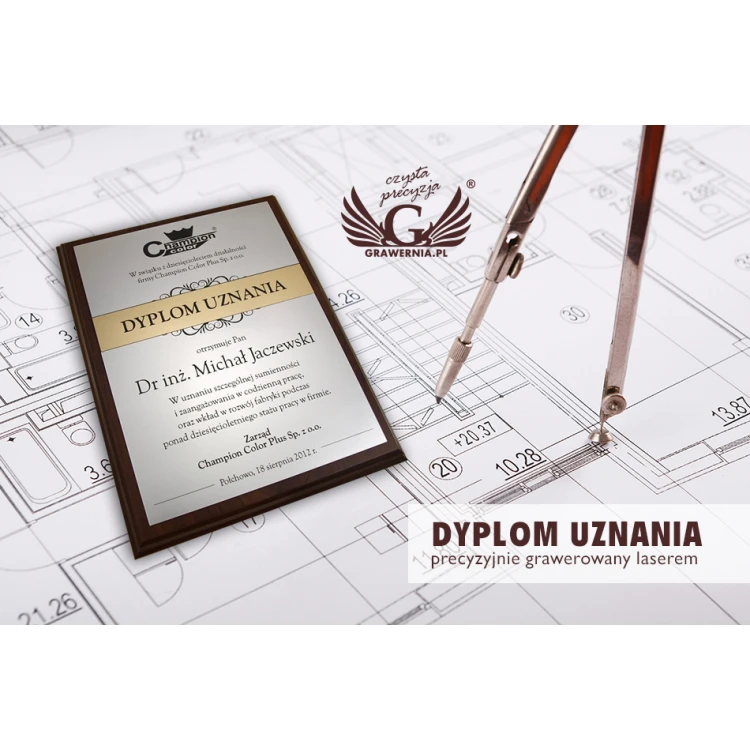 RECOGNITION DIPLOMA silver-gold - DS032