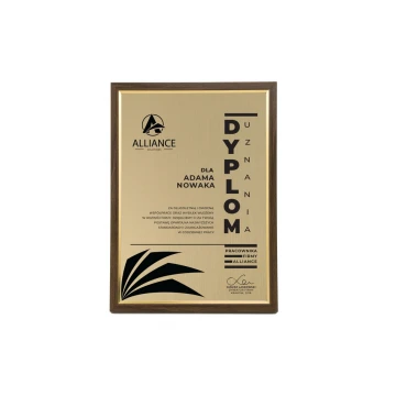 Recognition Diploma in Frame - Gold Engraving Laminate - DWR6