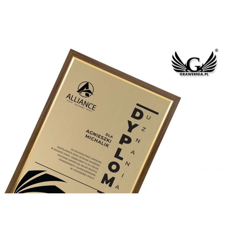Recognition Diploma in Frame - Gold Engraving Laminate - DWR6
