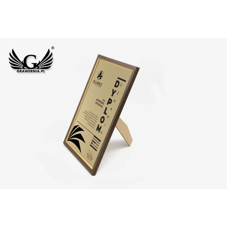Recognition Diploma in Frame - Gold Engraving Laminate - DWR6