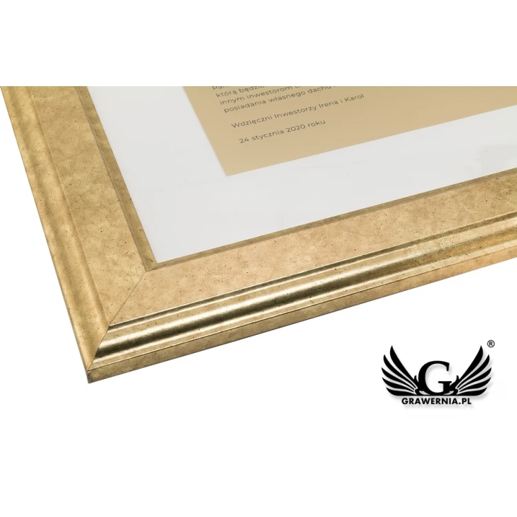 Diploma of Recognition in a Gold Frame - DWR9