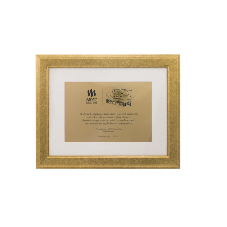 Diploma of Recognition in a Gold Frame - DWR9