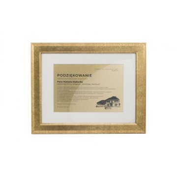 Diploma of Recognition in a Gold Frame - DWR9