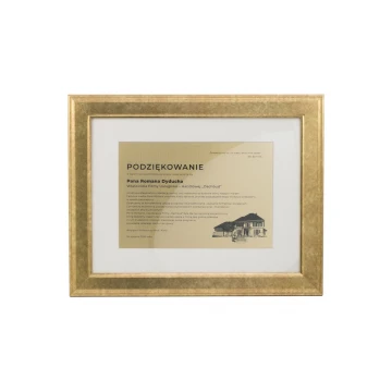 Diploma of Recognition in a Gold Frame - DWR9