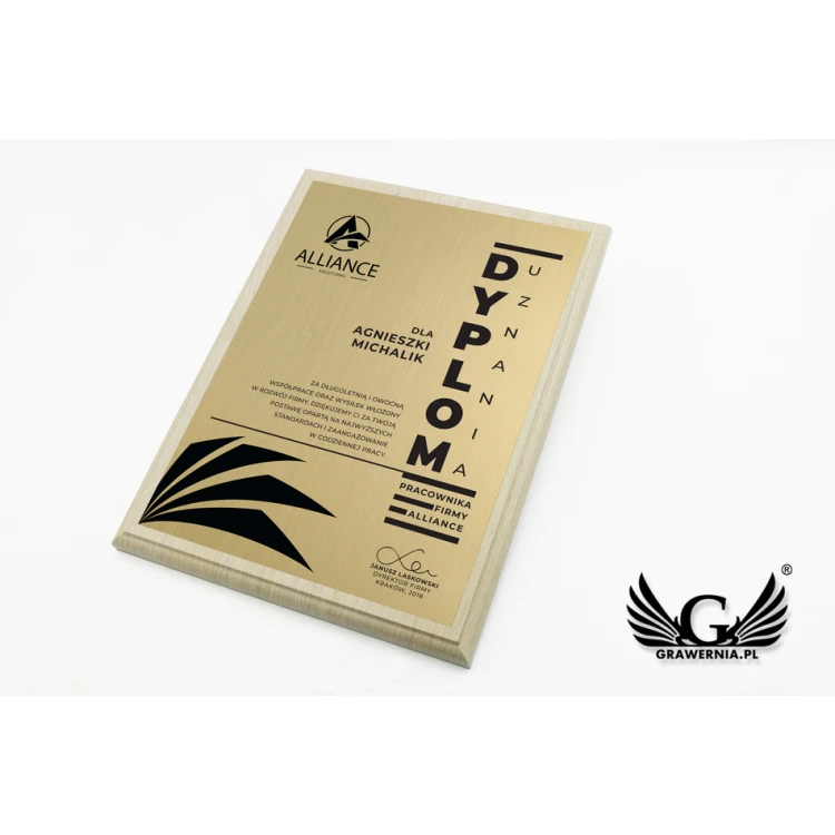 Diploma of Recognition - Gold Engraving Laminate - Light Brown Base - DS018