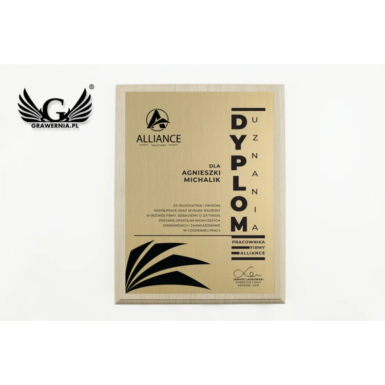 Diploma of Recognition - Gold Engraving Laminate - Light Brown Base - DS018