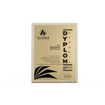 Diploma of Recognition - Gold Engraving Laminate - Light Brown Base - DS018