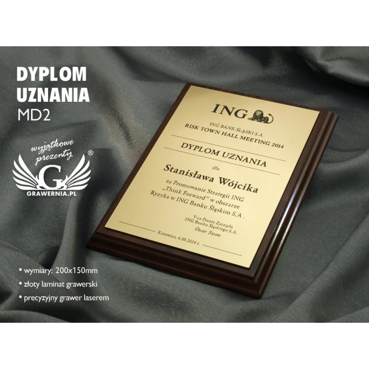 RECOGNITION DIPLOMA - GOLD MD2 - DS014