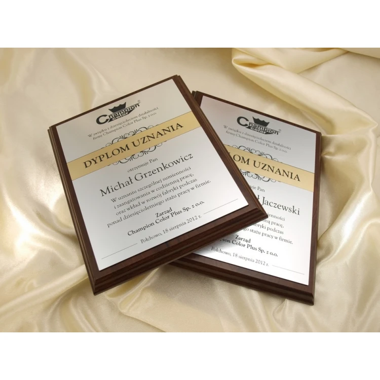 RECOGNITION DIPLOMA silver-gold - DS032