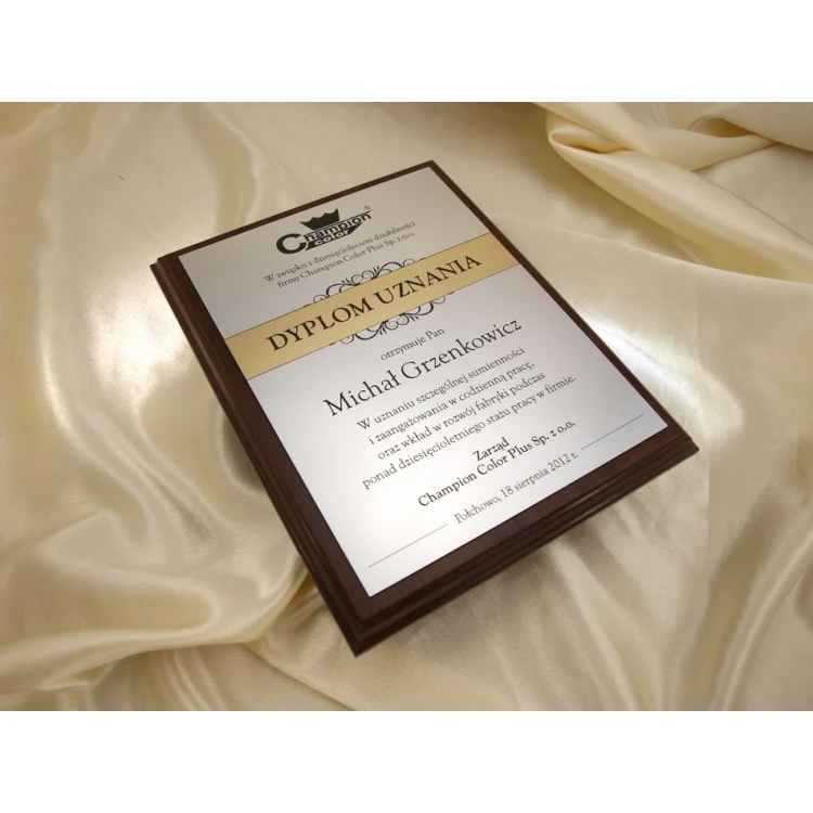 RECOGNITION DIPLOMA silver-gold - DS032