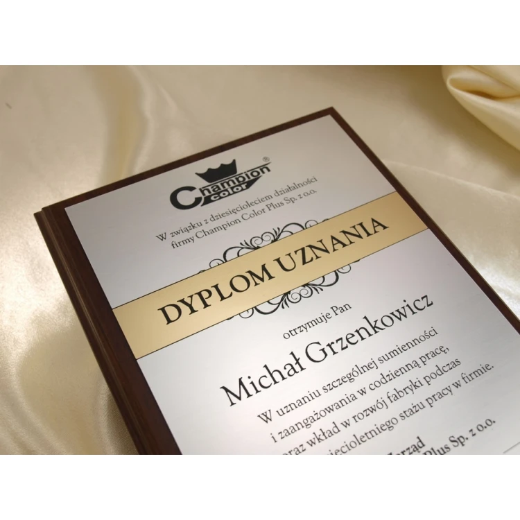RECOGNITION DIPLOMA silver-gold - DS032