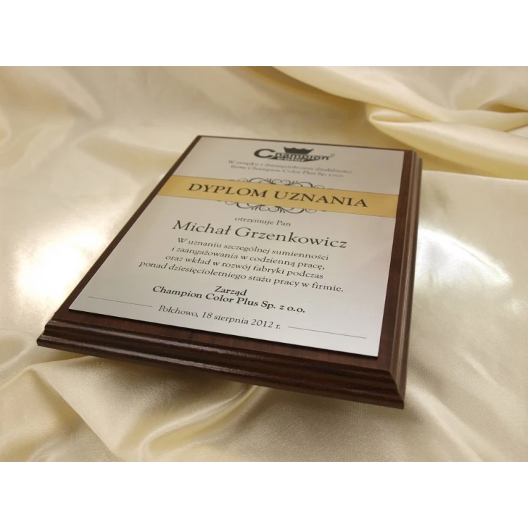 RECOGNITION DIPLOMA silver-gold - DS032
