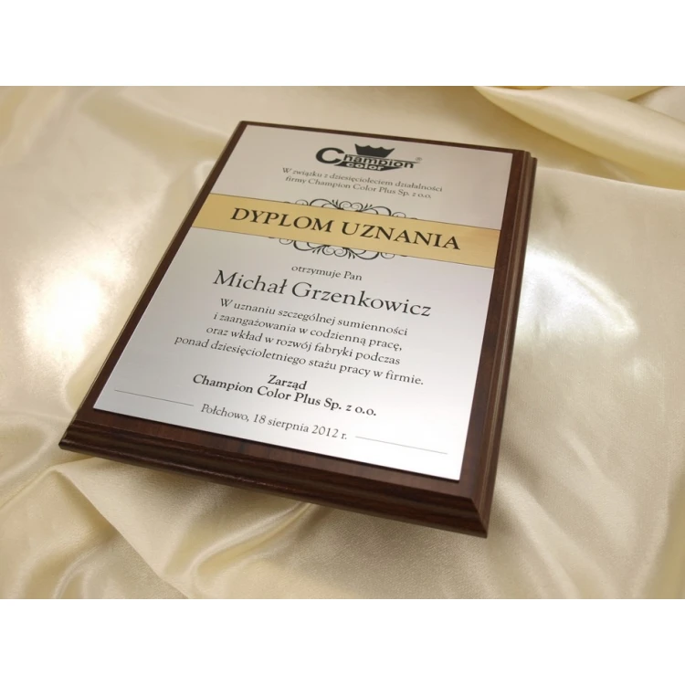 RECOGNITION DIPLOMA silver-gold - DS032
