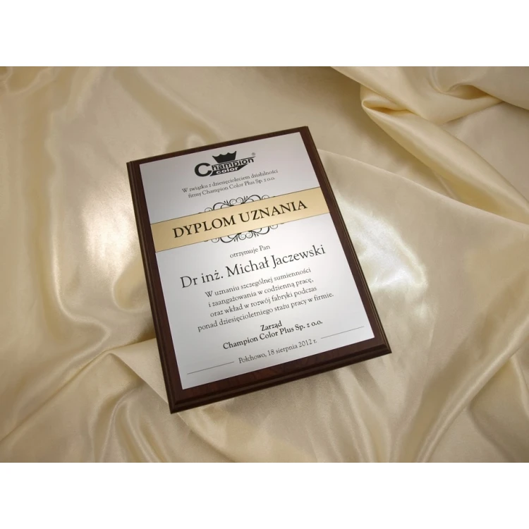 RECOGNITION DIPLOMA silver-gold - DS032