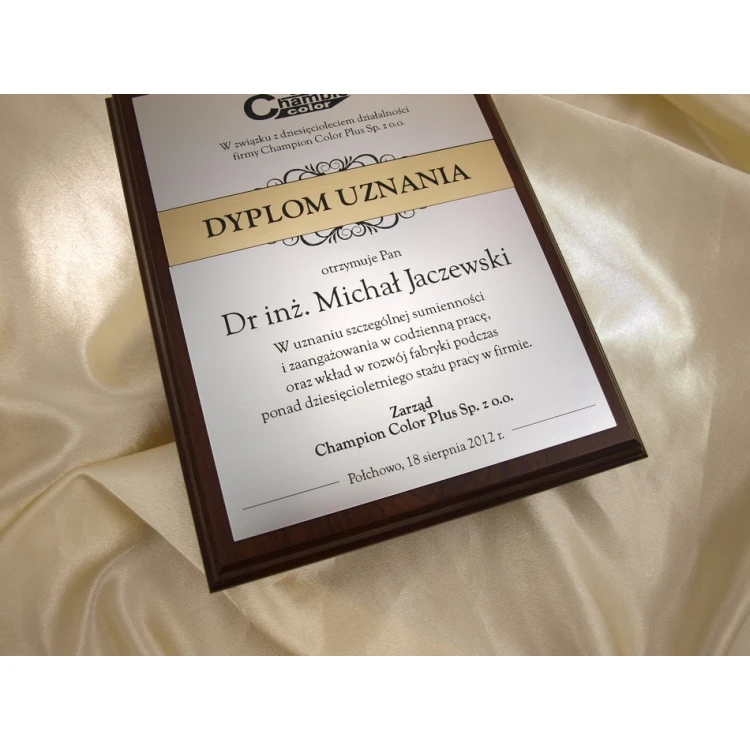 RECOGNITION DIPLOMA silver-gold - DS032