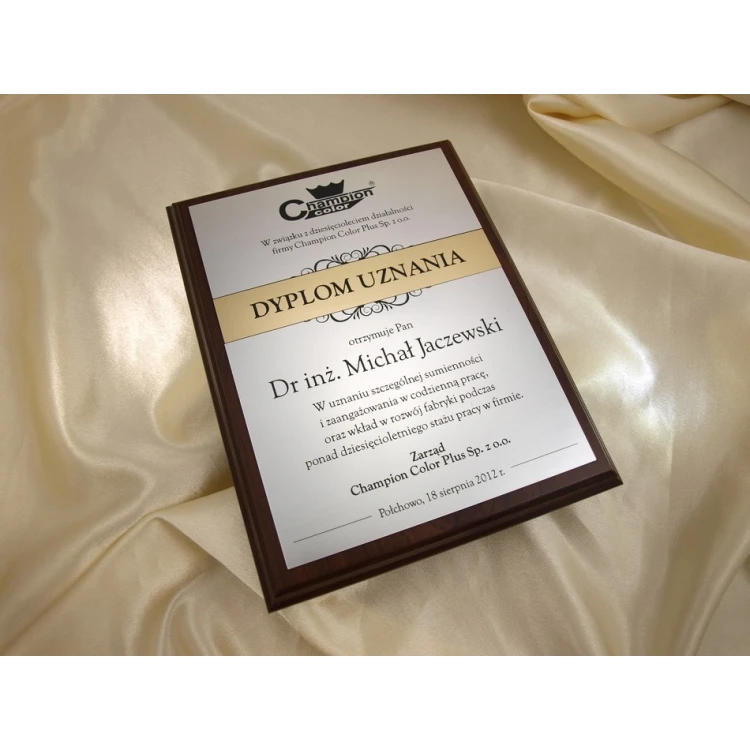 RECOGNITION DIPLOMA silver-gold - DS032
