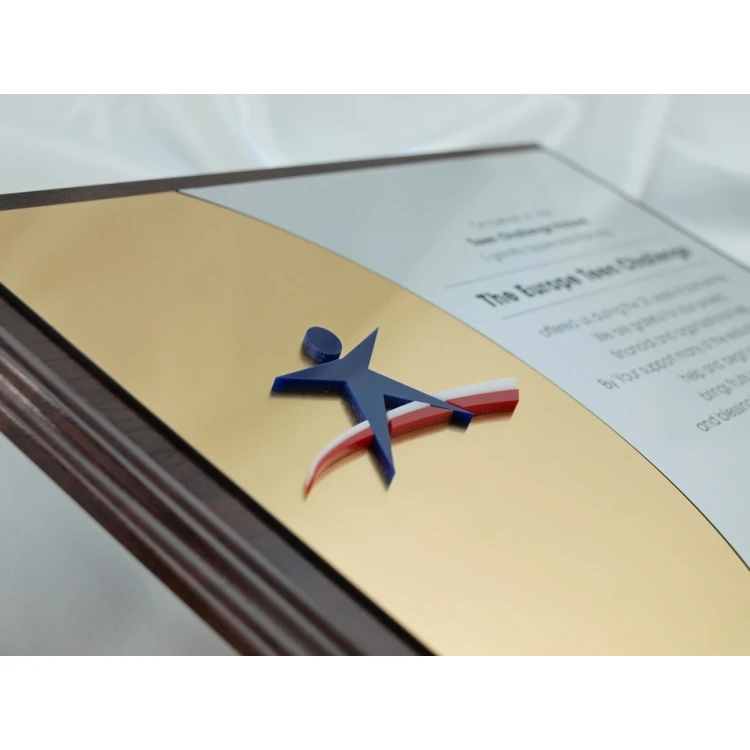 Diploma with Acrylic Logo - SL025