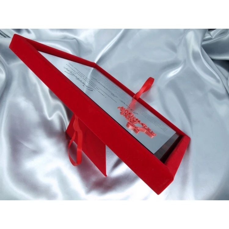 Diploma with Acrylic Logo - SL032