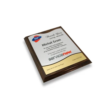ACRYLIC LOGO DIPLOMA - LASER CUT - SL048