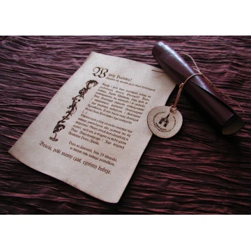 Leather Diploma with Medal - Bound with Thong - DSK003