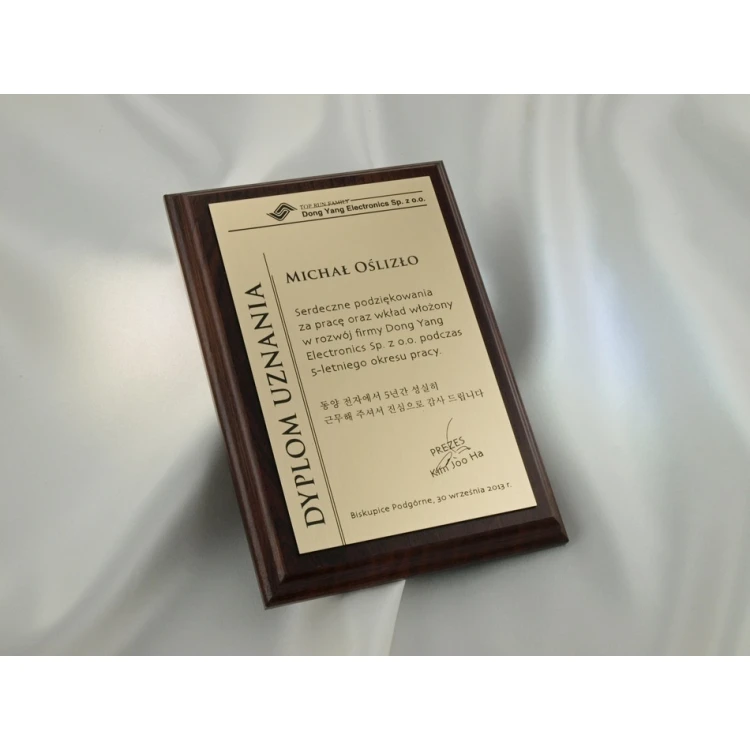 DIPLOMA MD1 - DS020