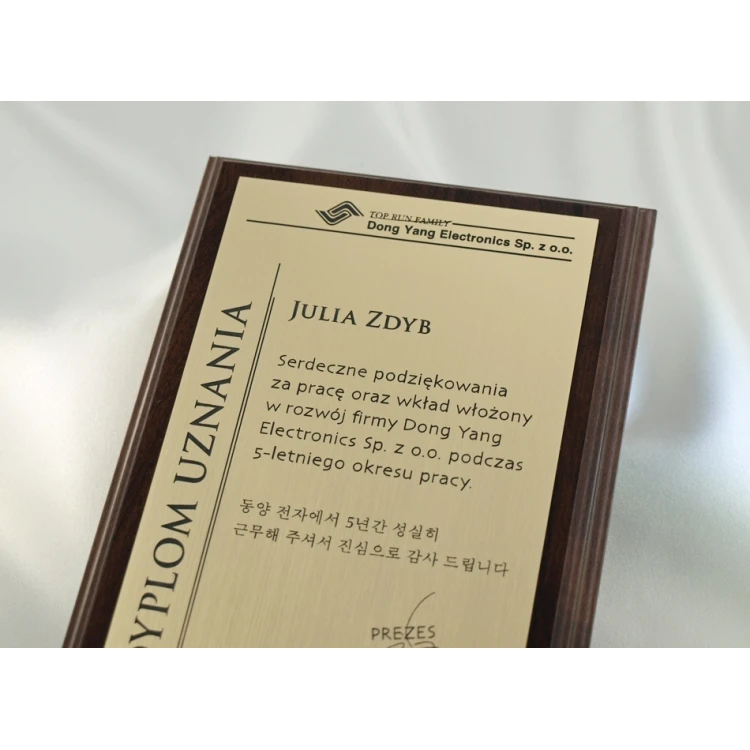 DIPLOMA MD1 - DS020