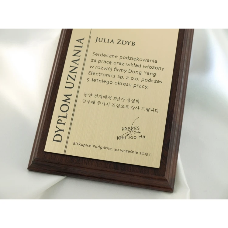 DIPLOMA MD1 - DS020
