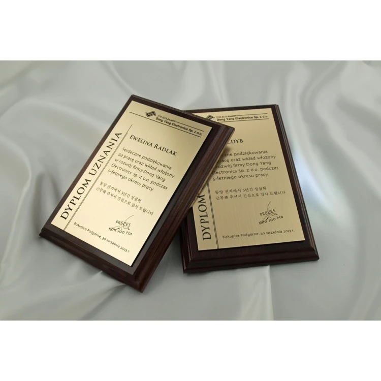 DIPLOMA MD1 - DS020