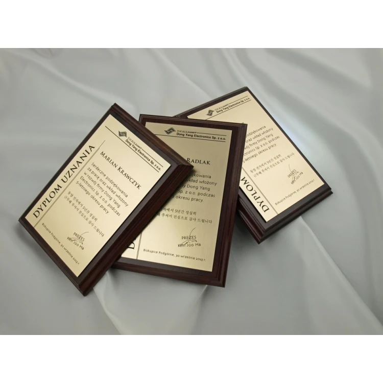 DIPLOMA MD1 - DS020