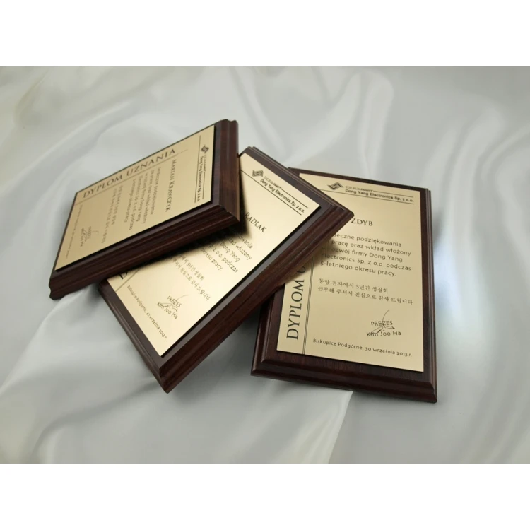DIPLOMA MD1 - DS020