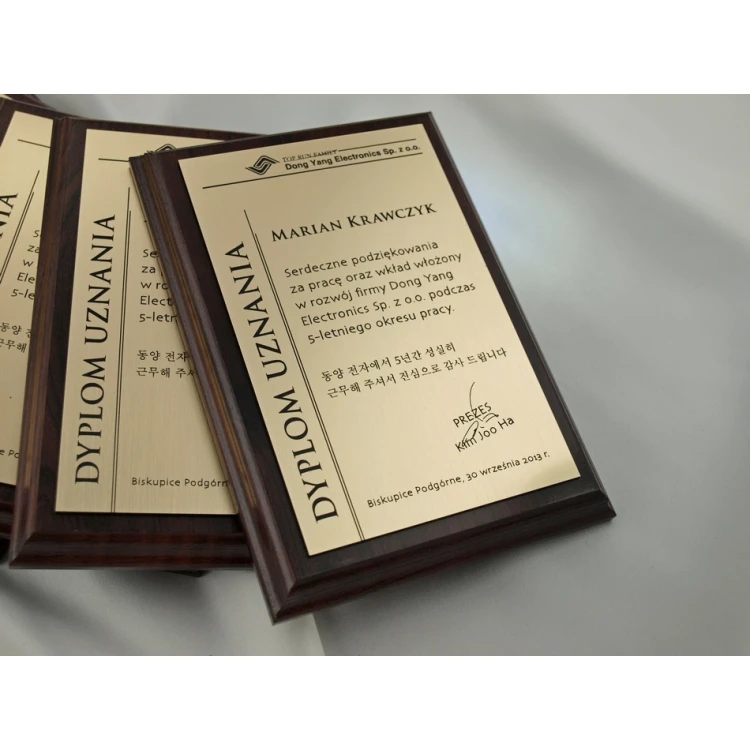 DIPLOMA MD1 - DS020