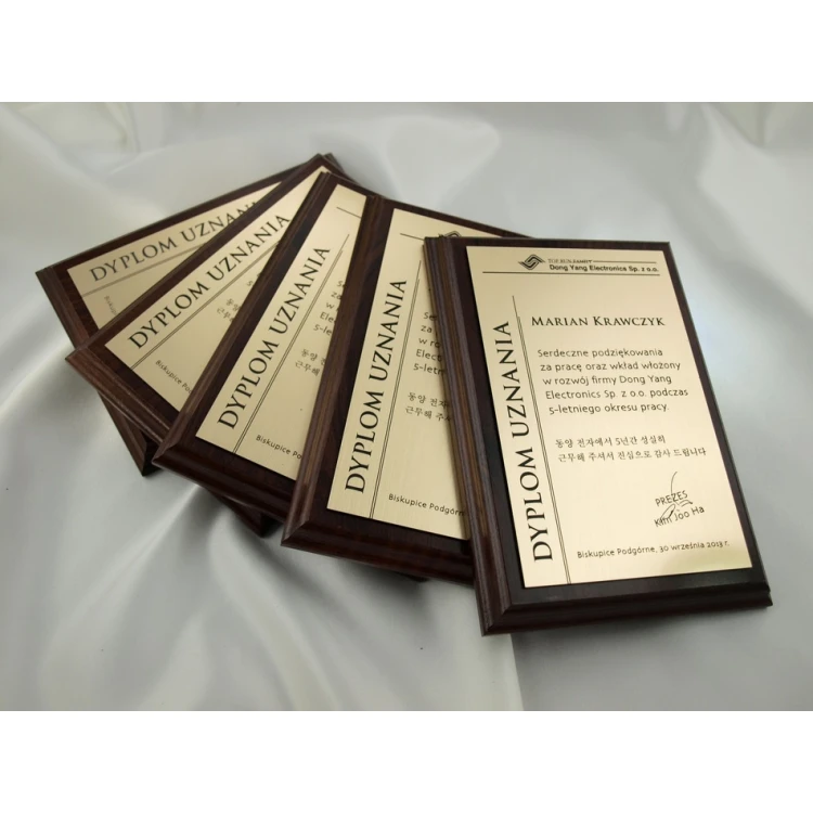 DIPLOMA MD1 - DS020