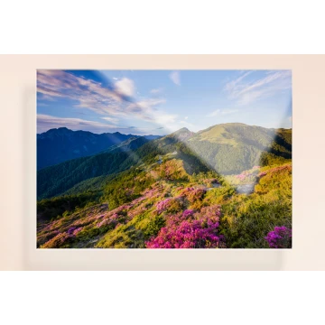 Photograph on Acrylic Glass (Plexi) - Photo Poster - Size: 700x500mm - DEK034