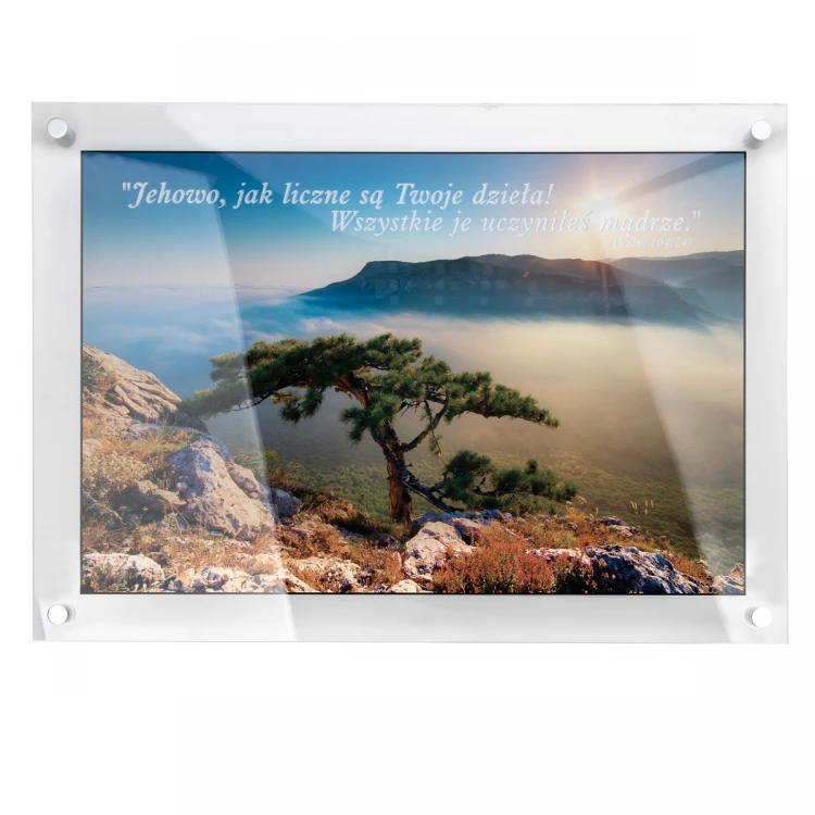 Photograph on Acrylic Glass (Plexi) - Photo Poster - Size: 700x500mm - DEK026